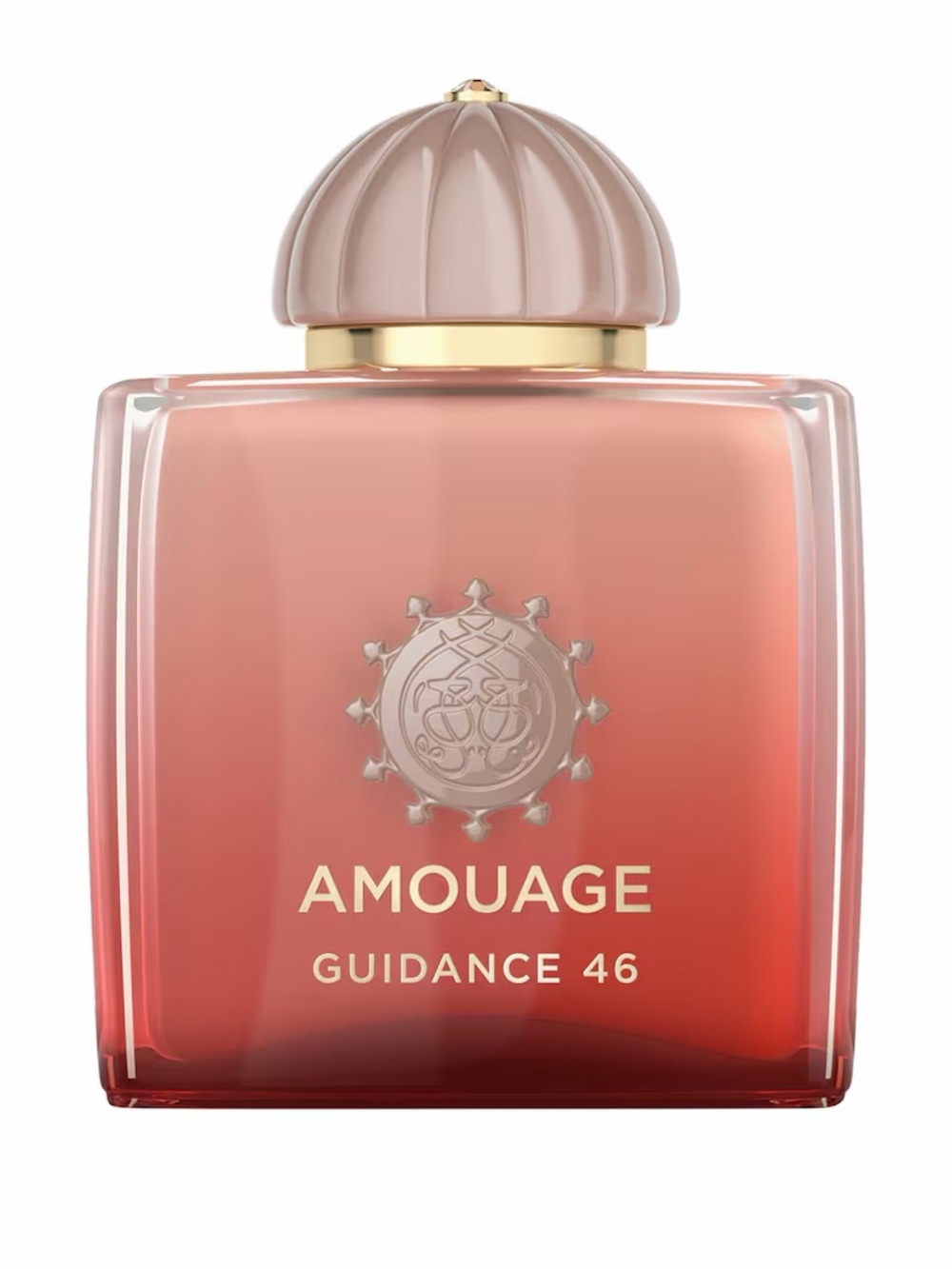 AMOUAGE Guidance 46 Exceptional Extrait de Parfum (100ml)